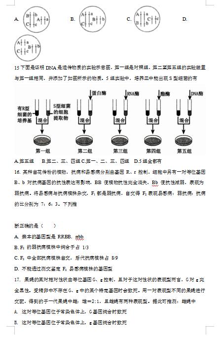 2021úʡxеĸ߼ЌW(xu)߶όW(xu)ԇ}DƬ棩4