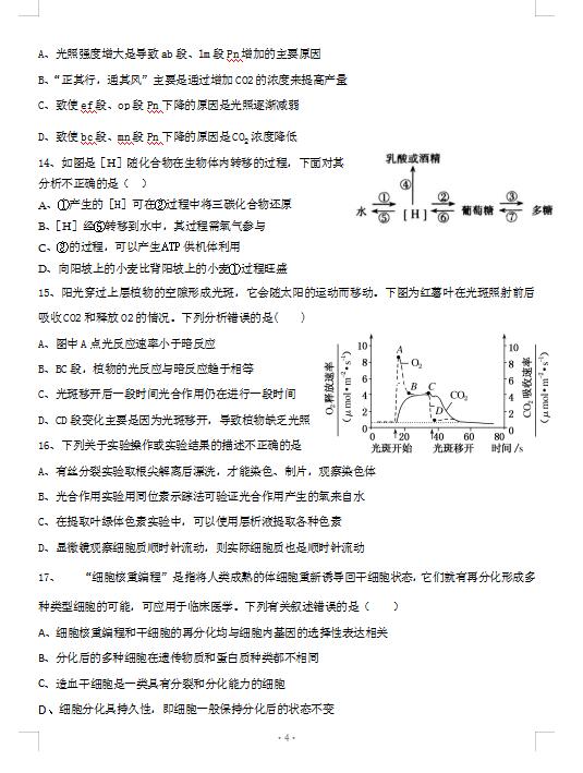 2021ðʡЌW(xu)όW(xu)¿ԇ}DƬ棩4