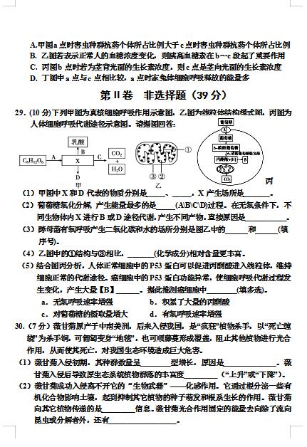 2021üʡиόW(xu)ڶ{(dio)Мy(c)ԇ}DƬ棩6