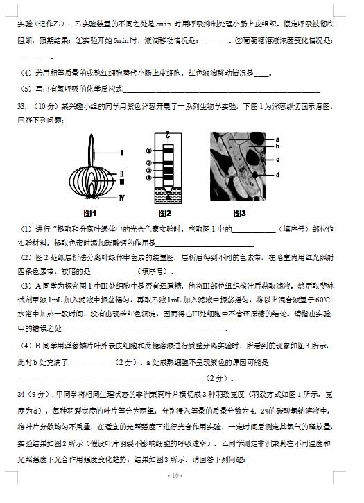 2021ýʡ¿hһЌW(xu)όW(xu)Ĵ¿ԇ}DƬ棩10