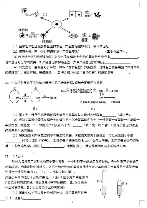 2021ÌĴW(xu)ЌW(xu)όW(xu)¿ԇ}DƬ棩4