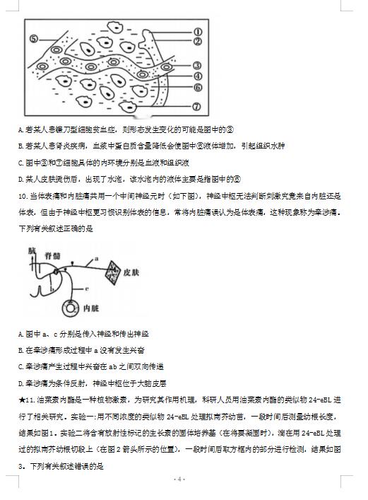 2021úʡL(zhng)ЌW(xu)W(xu)¿ԇ}DƬ棩4