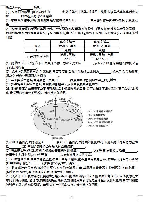 2021ýKʡͨ޿hόW(xu){(dio)пԇ}DƬ棩9