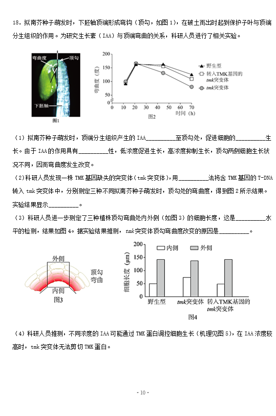 2021ñиW(xu)߿S(x)ԇ}DƬ棩10