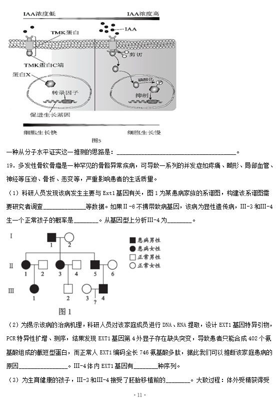 2021ñиW(xu)߿S(x)ԇ}DƬ棩11