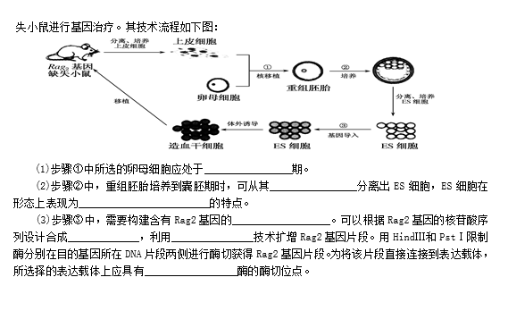 2021Ìl(wi)иW(xu)C5µڶ΃(yu)(lin)ԇ}DƬ棩5