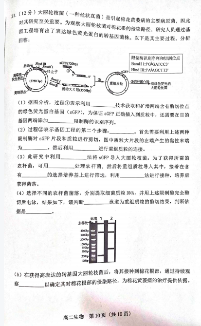 2021ñS_(ti)^(q)߶W(xu)ĩﾚ(x)ԇ}DƬ棩10