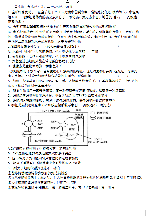 2021úꖸи߶W(xu)ڶ¿ԇ}d棩