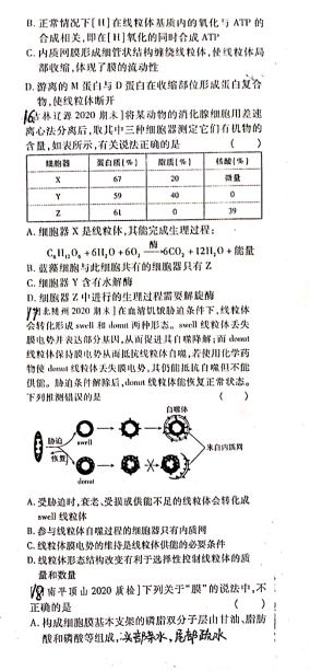 2021úӱʡݲ^еһЌW(xu)߶W(xu)ڶ¿ԇ}DƬ棩4