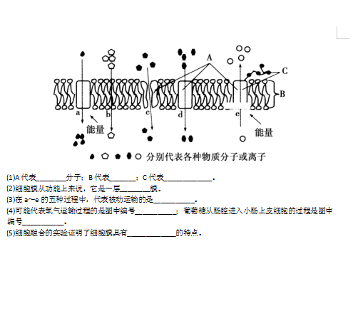 2021üʡLеڶʮЌW(xu)߶W(xu)ڶ|(zh)yԇԇ}DƬ棩10