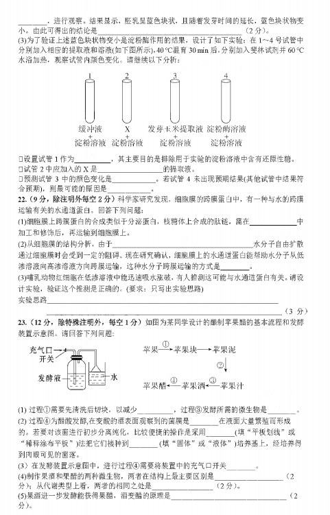 2021ɽ|ʡУ߶W(xu)5W(xu)(lin)ԇ}DƬ棩6