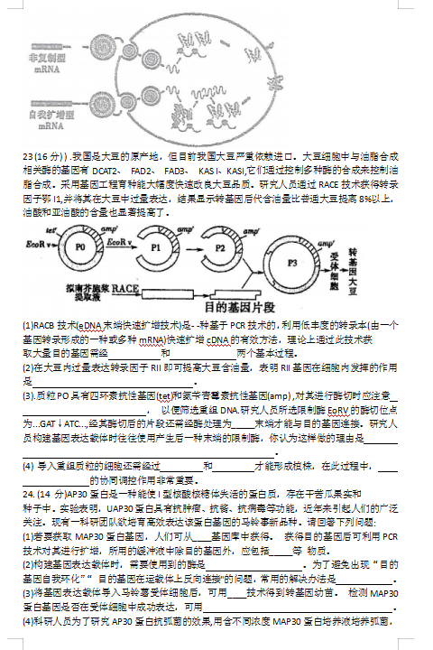 2021Ȫѧ߶ѧһ¿⣨ͼƬ棩5