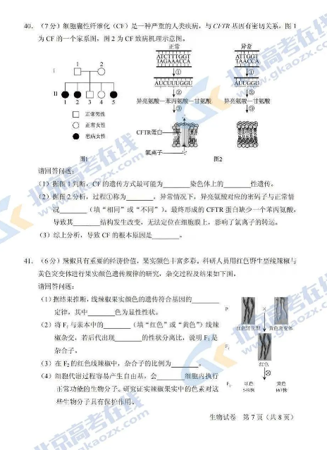 2021걱ڶͨЌW(xu)I(y)ˮƽϸԿԇԇ}DƬ棩7