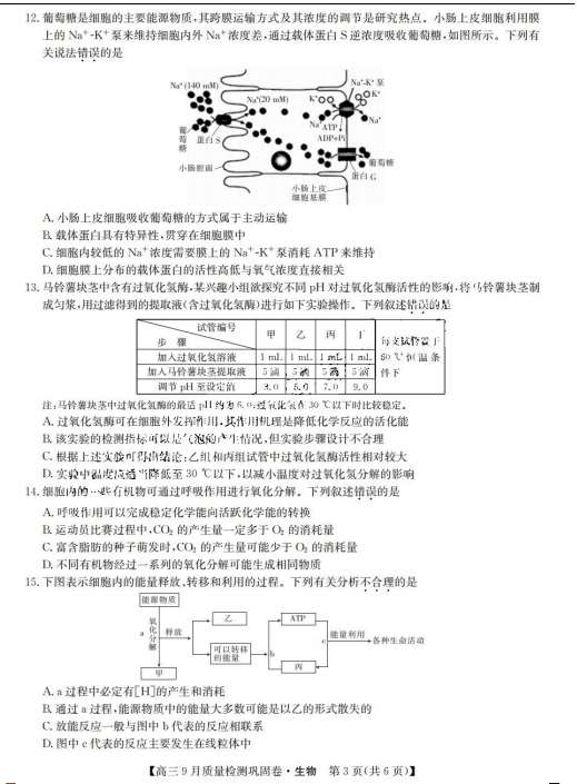 2022þŎ(lin)˸9|(zh)zy얹ԇ}DƬ 3