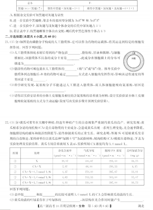 2022þŎ(lin)˸¸߿10|(zh)zy(c)ԇ}DƬ棩5