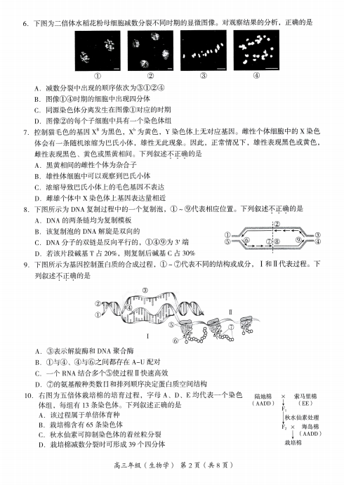 2022ñ^(q)όW(xu)11о(x)ԇ}DƬ棩2