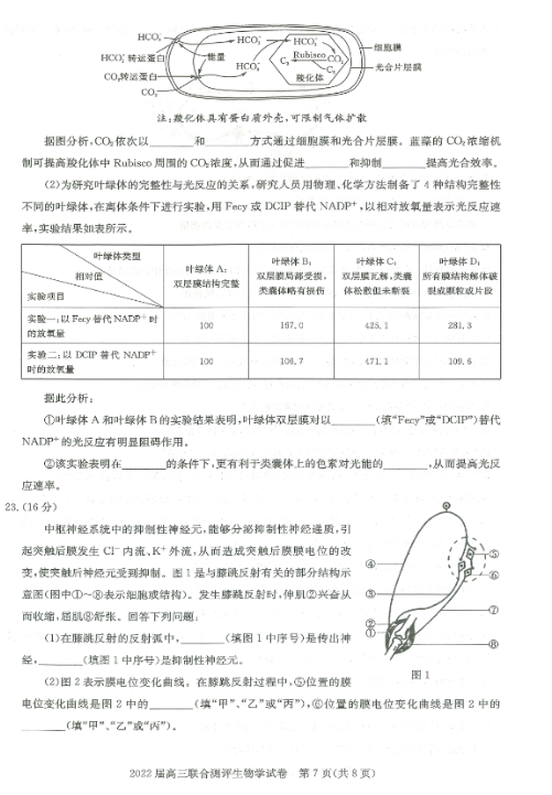 2022hвc(din)W(xu)У11(lin)ԇ}DƬ棩7