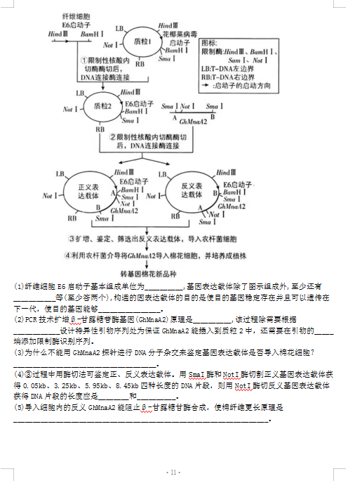 2022ýKʡУόW(xu)һ(lin)ԇ}DƬ棩11