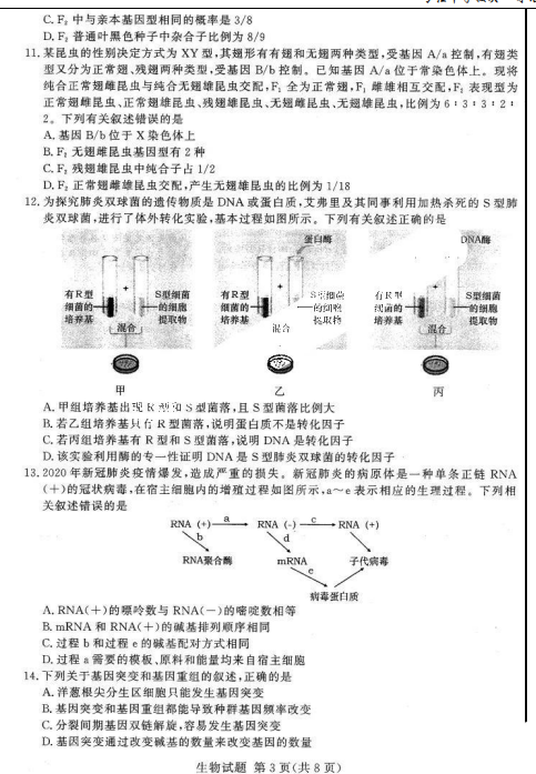 2022ԥУ(lin)11(lin)ԇ}DƬ棩3