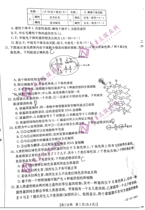 2022ý̫(yng)12(lin)ԇ}DƬ棩5