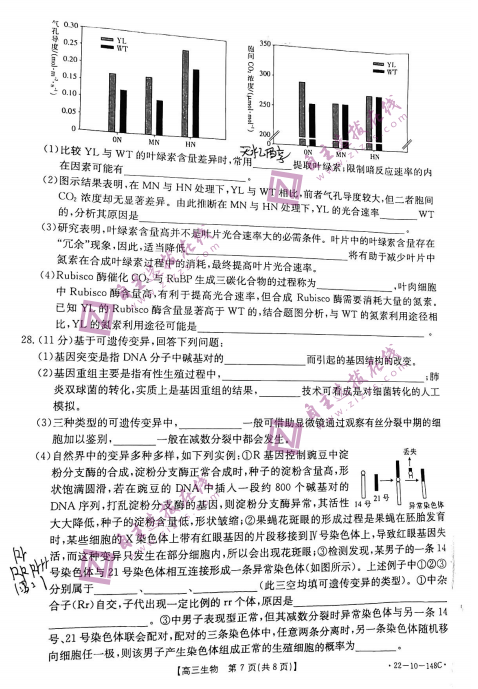 2022ý̫ꖸ12(lin)ԇ}DƬ棩7