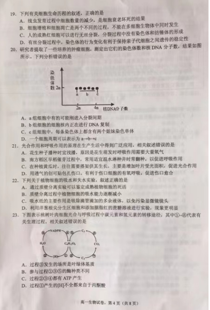 2022ýKʡиһόW(xu)W(xu)I(y)|(zh)zyԇ}DƬ棩4