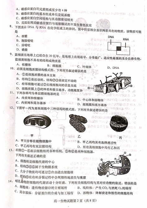 2022ýKʡ}иһόWδ￼ԇԇ}DƬ棩2