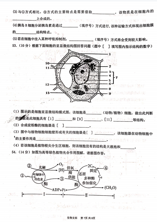 2022ÌąЌW(xu)߶όW(xu)ĩĿԇԇ}DƬ棩7