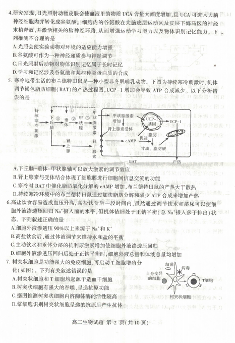 2022ɽʡи߶ѧĩ￼⣨ͼƬ棩2