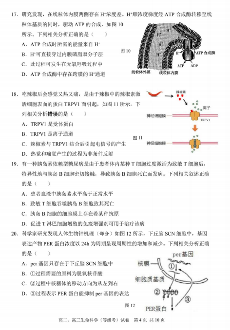 2022Ϻ֖|^(q)߶όW(xu)ĩ̌W(xu)|(zh)zy(c)ԇ}DƬ棩4