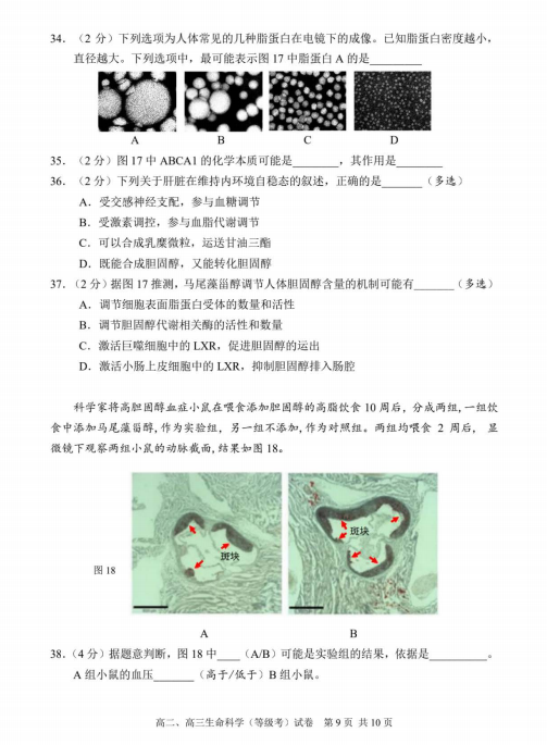 2022Ϻ֖|^(q)߶όW(xu)ĩ̌W(xu)|(zh)zyԇ}DƬ棩9