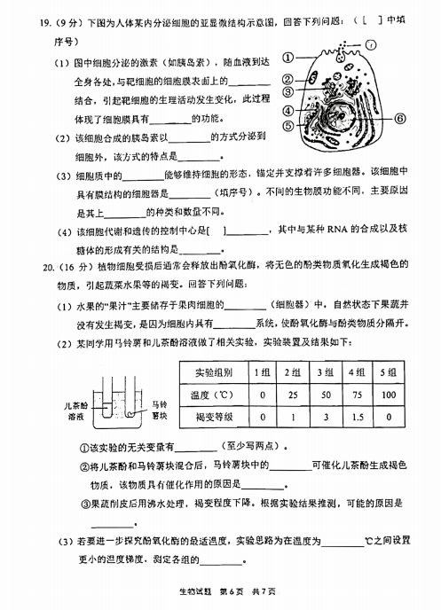 2022øʡиһόW(xu)ĩ|(zh)zy(c)ԇ}DƬ棩6