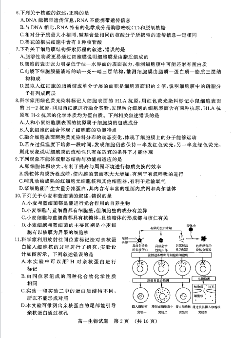 2022ɽ|ʡ(j)иһόW(xu)ĩW(xu)zyԇ}DƬ棩2