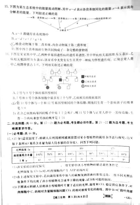 2022ÏV|3(lin)ԇ}DƬ棩5